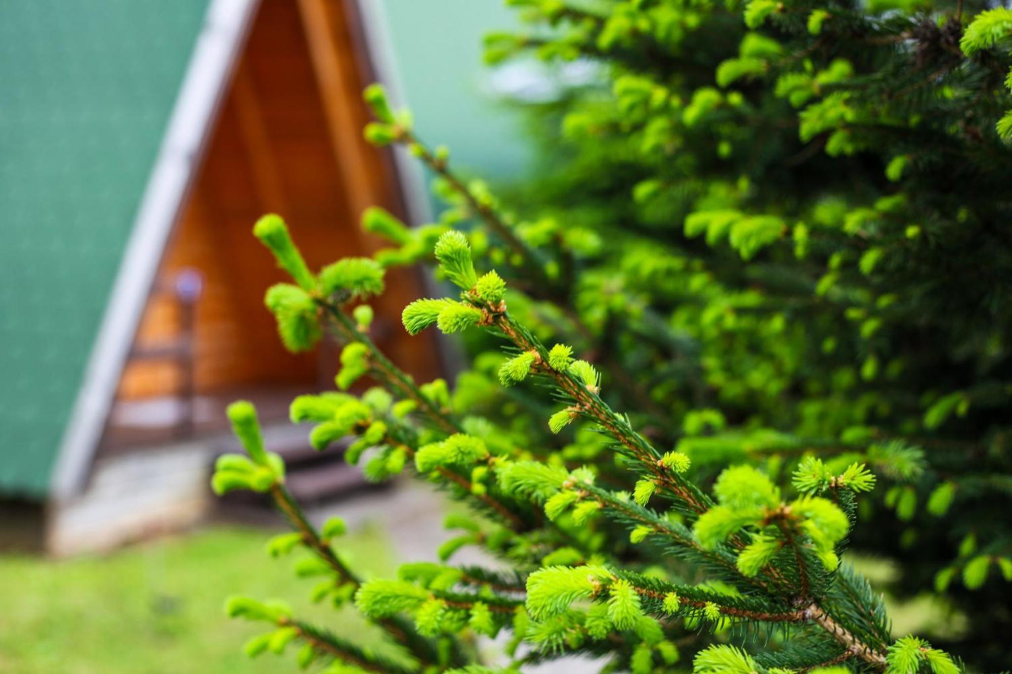 Rooms & Glamping Lana Haus Licko Petrovo Selo Exterior foto