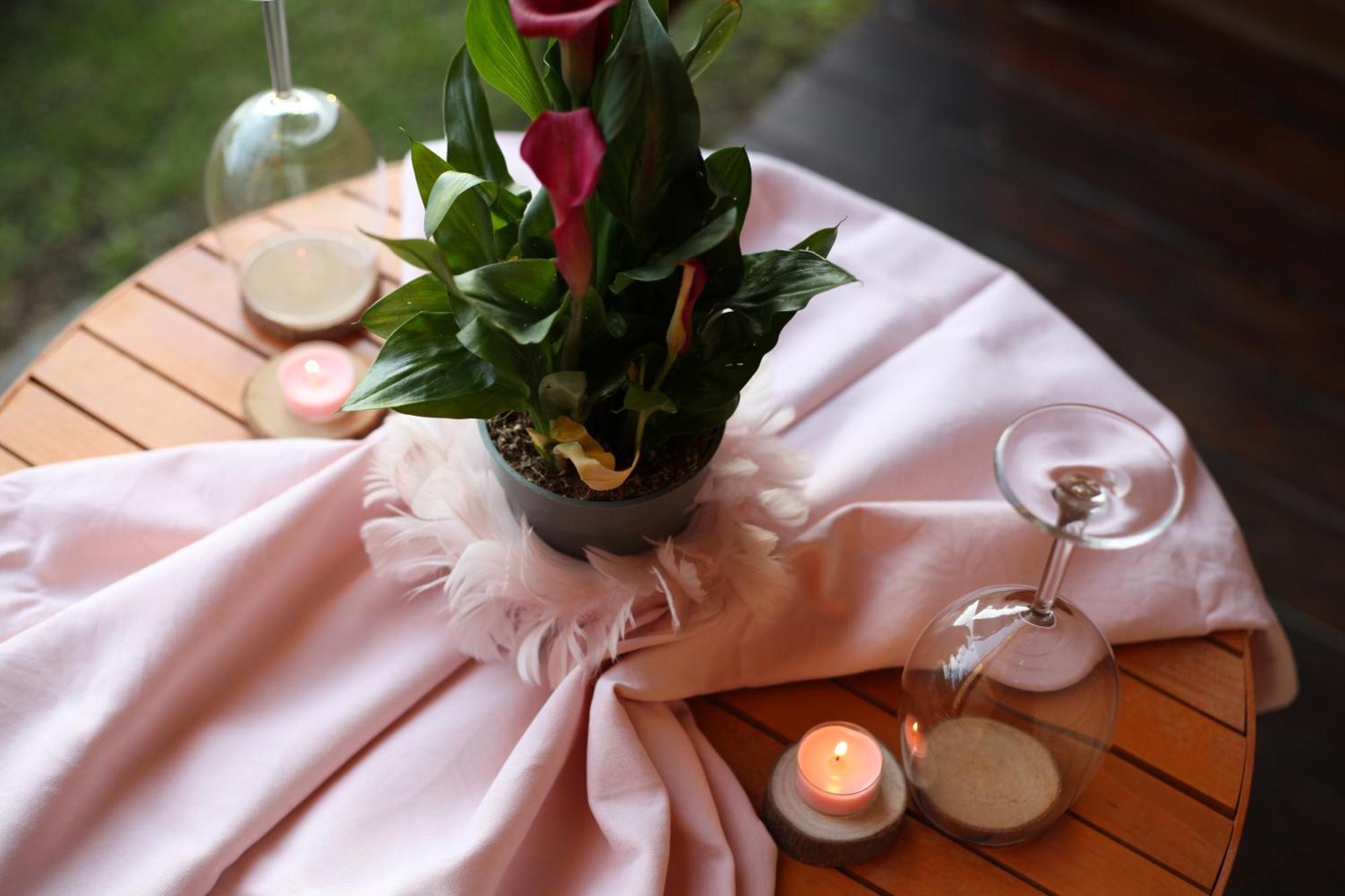 Rooms & Glamping Lana Haus Licko Petrovo Selo Exterior foto